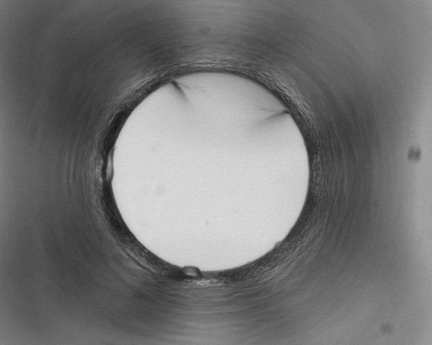 X0000116650692201001111229