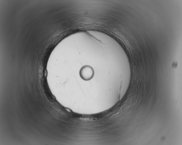 X0000116650693201001111229