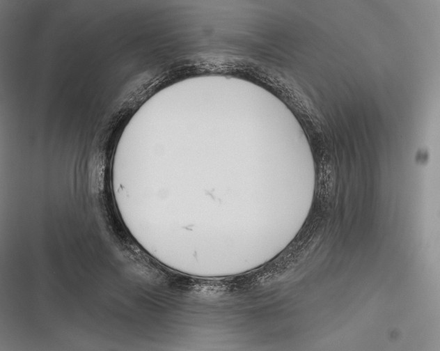 X0000116650694201001111229