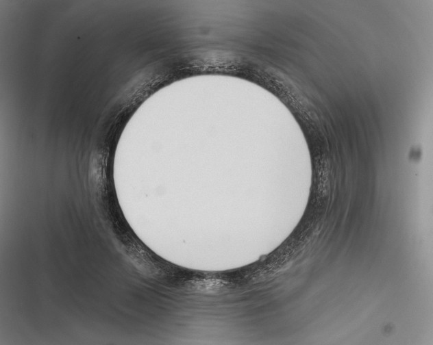 X0000116650695201001111229