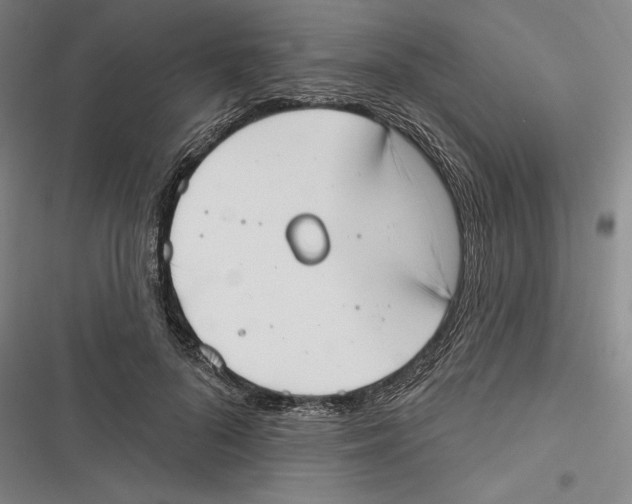 X0000116650696201001111229