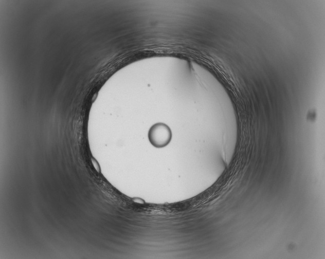 X0000116650697201001111229