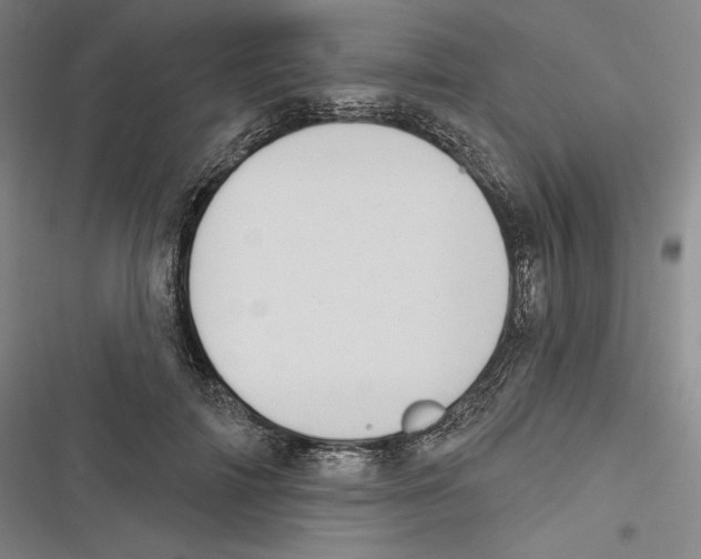 X0000116650698201001111229