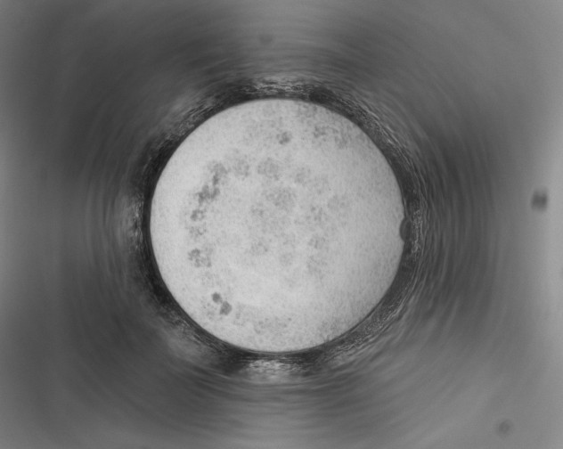 X0000116650699201001111229