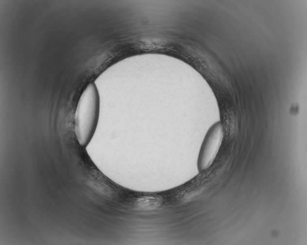 X0000116650700201001111229