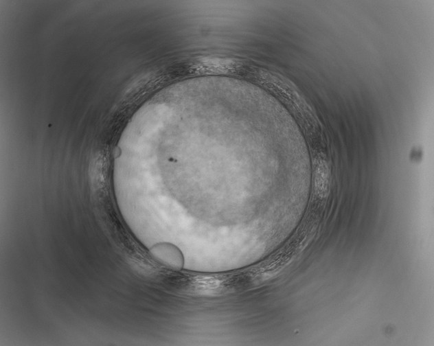 X0000116650701201001111229