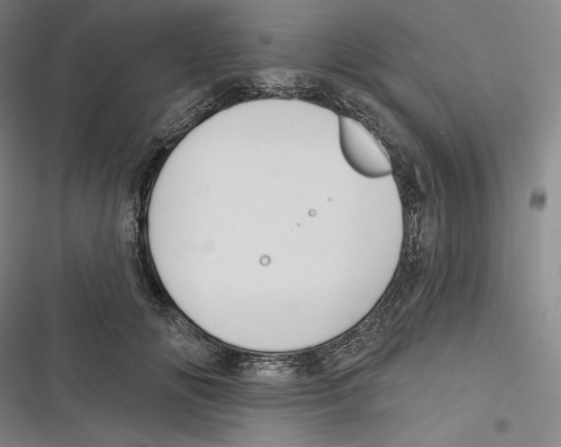 X0000116650702201001111229