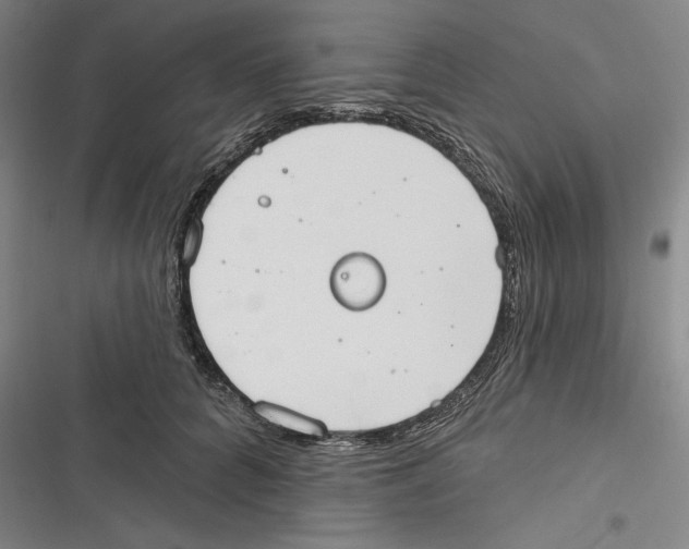 X0000116650704201001111229