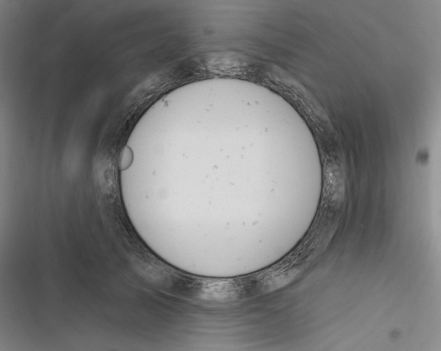X0000116650705201001111229