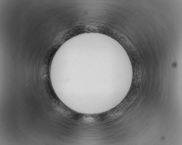 X0000116650706201001111229