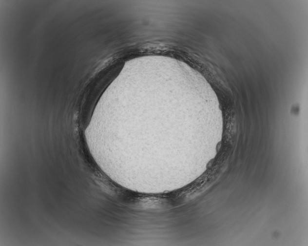 X0000116650708201001111229