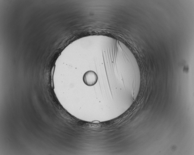 X0000116650709201001111229