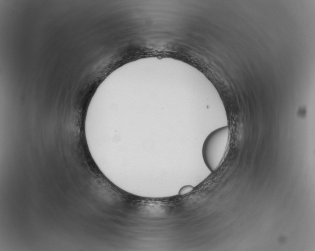 X0000116650710201001111229