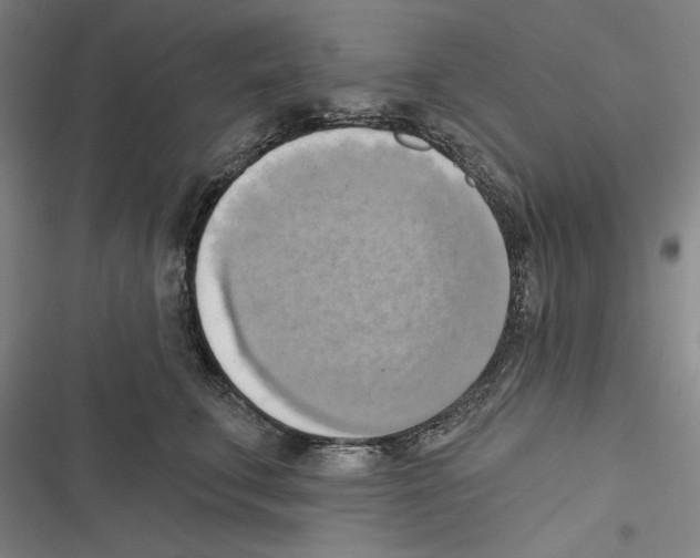 X0000116650711201001111229