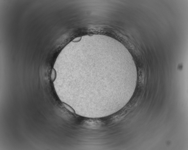 X0000116650712201001111229