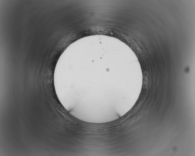 X0000116650713201001111229