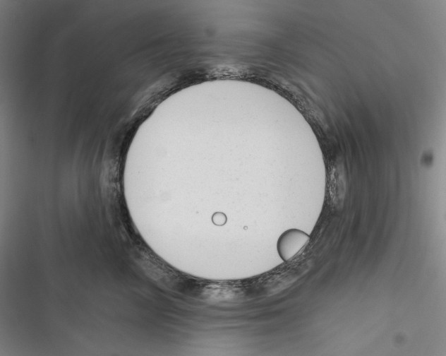 X0000116650714201001111229