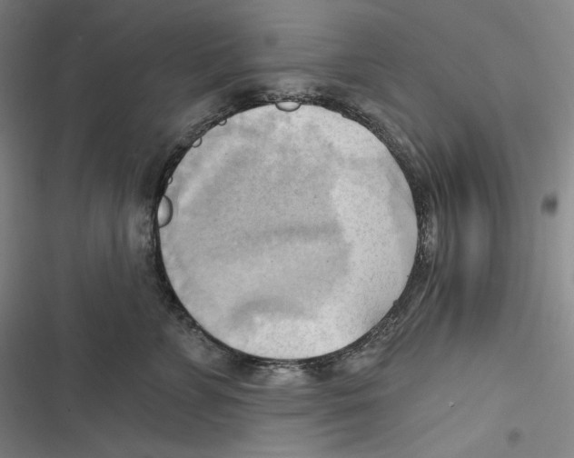 X0000116650715201001111229