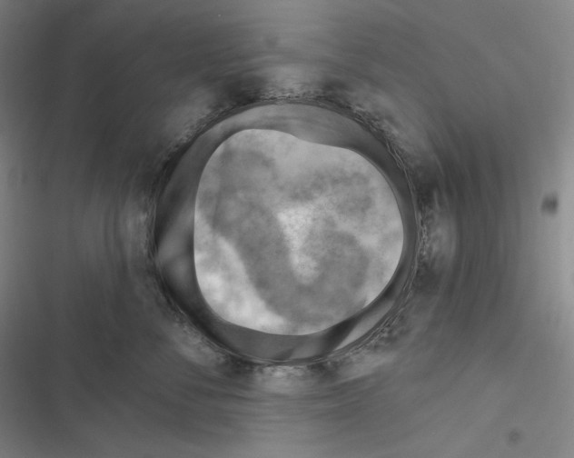 X0000116650716201001111229