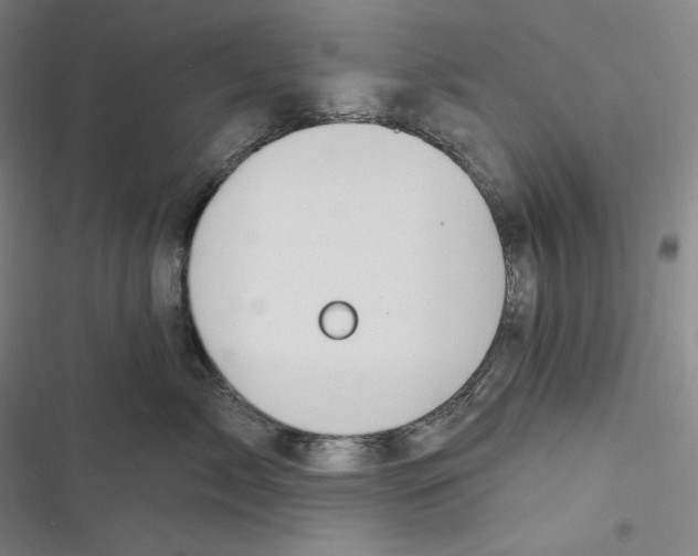 X0000116650717201001111229