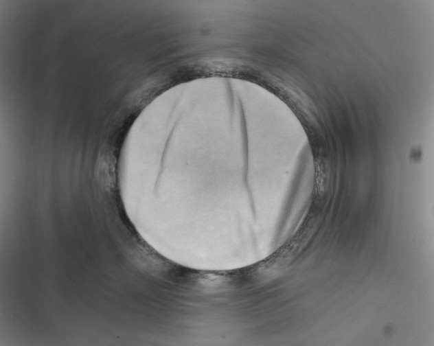 X0000116650718201001111229