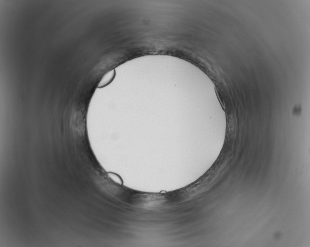 X0000116650719201001111229