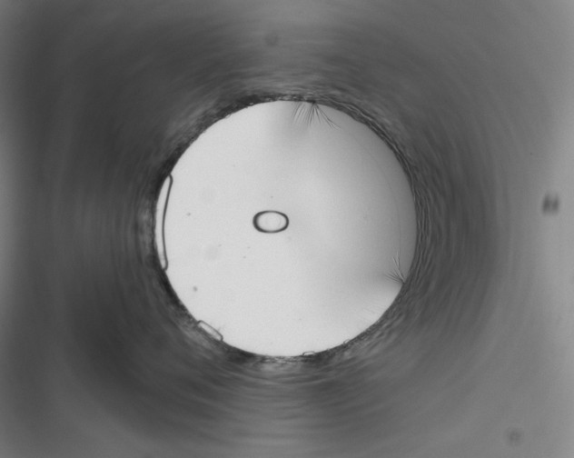X0000116650720201001111229