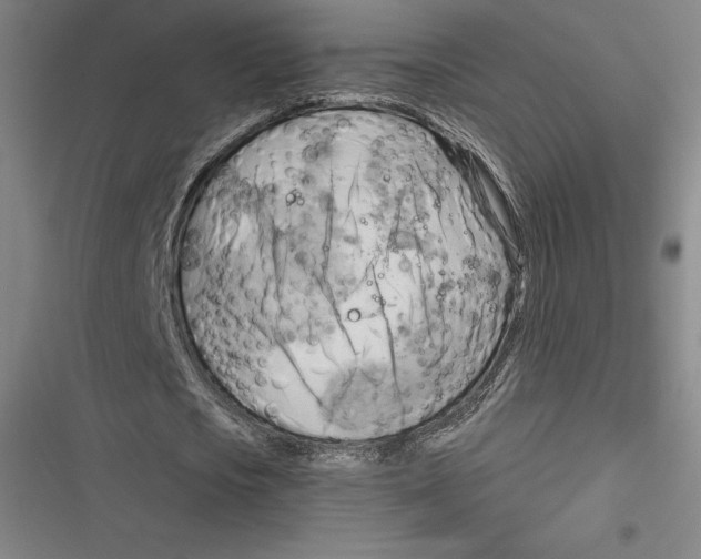 X0000116650721201001111228