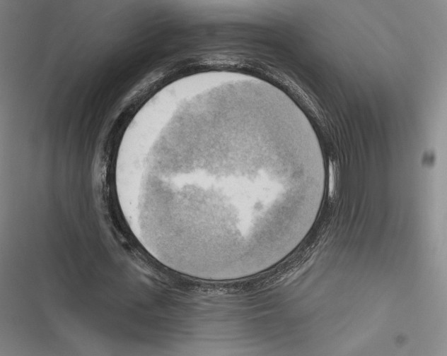 X0000116650723201001111228