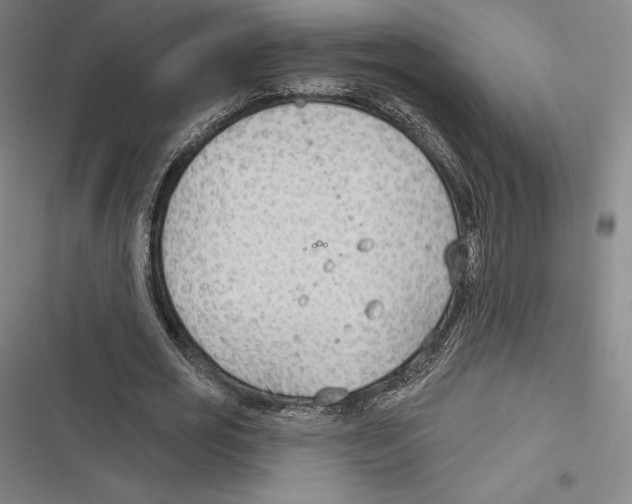 X0000116650725201001111228