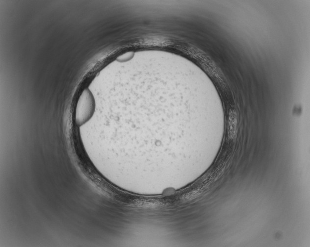 X0000116650726201001111228