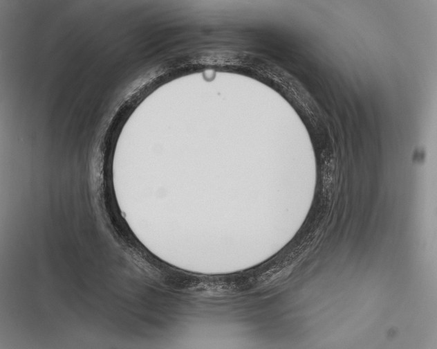 X0000116650727201001111228