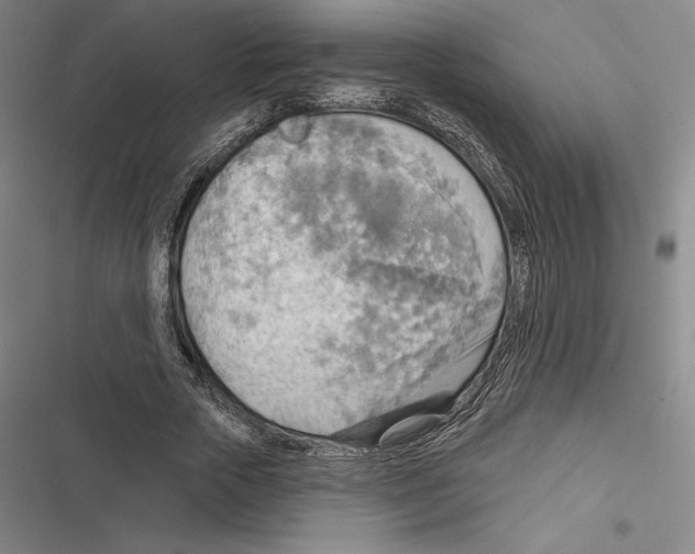 X0000116650729201001111228