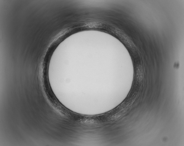 X0000116650730201001111228