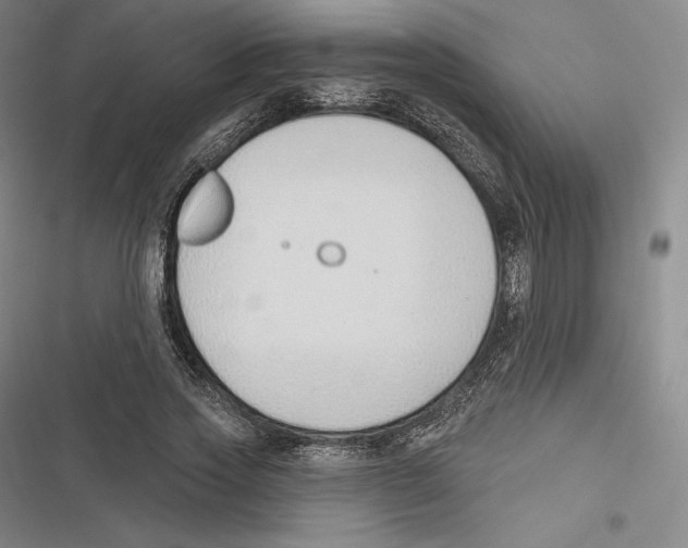 X0000116650733201001111228