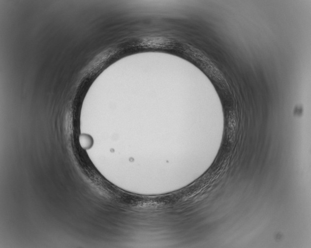 X0000116650734201001111228