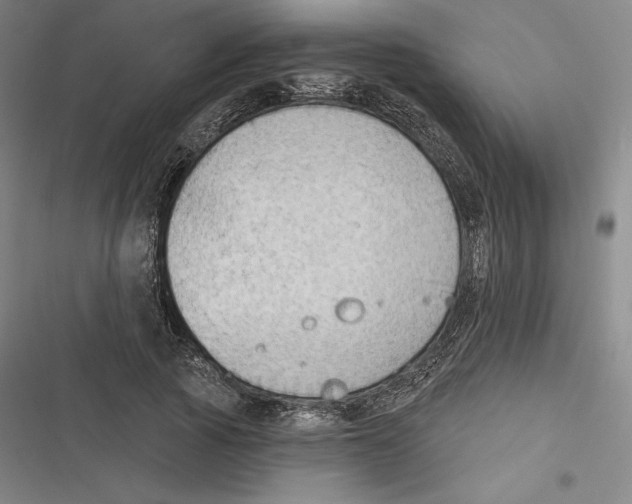 X0000116650737201001111228