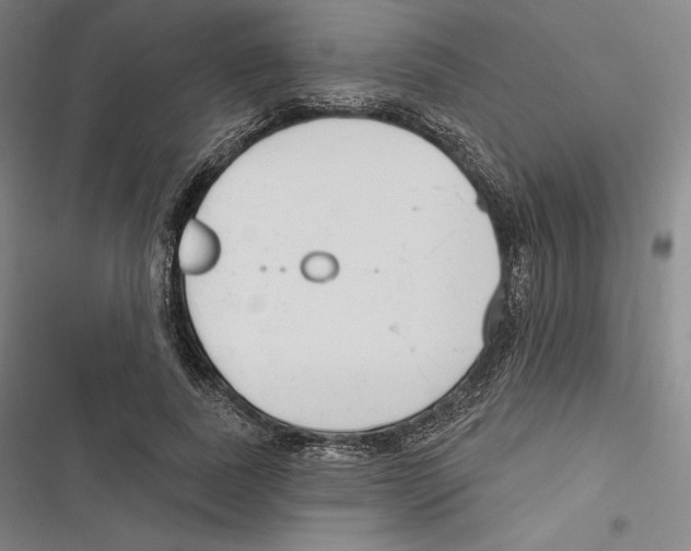 X0000116650739201001111228