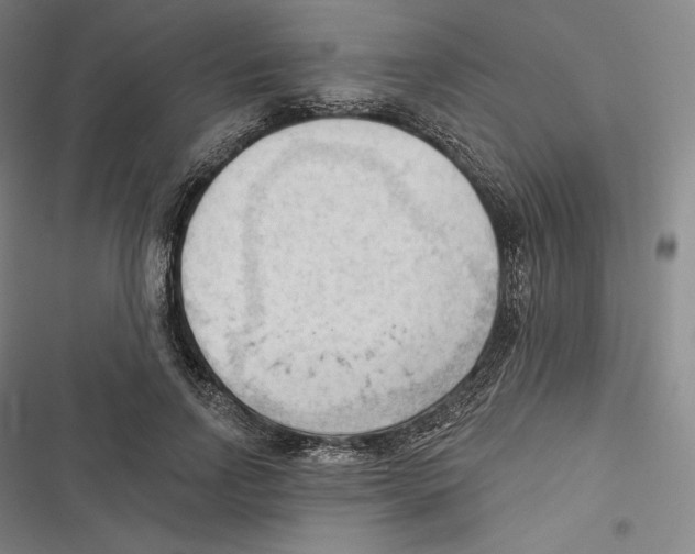 X0000116650742201001111228