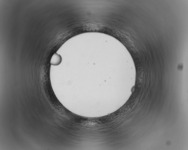 X0000116650743201001111228