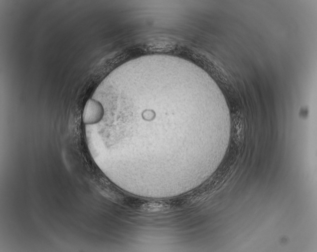 X0000116650745201001111229