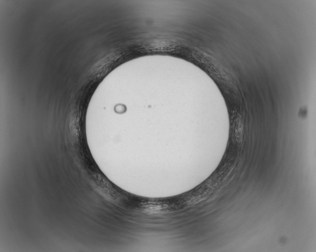 X0000116650746201001111229