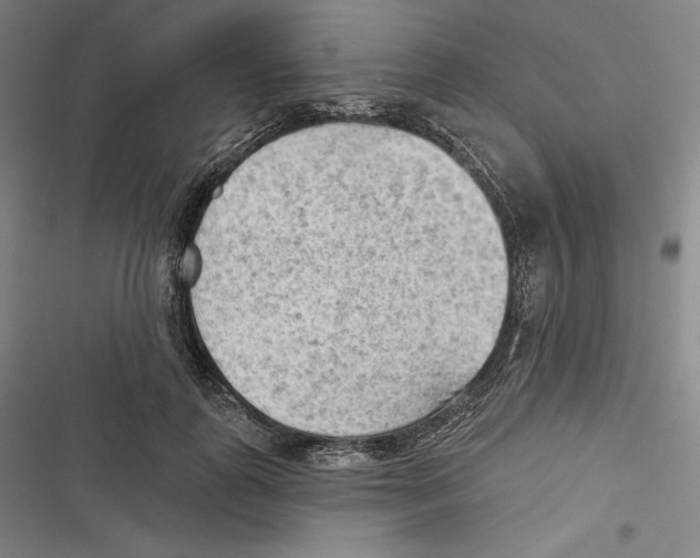 X0000116650747201001111229
