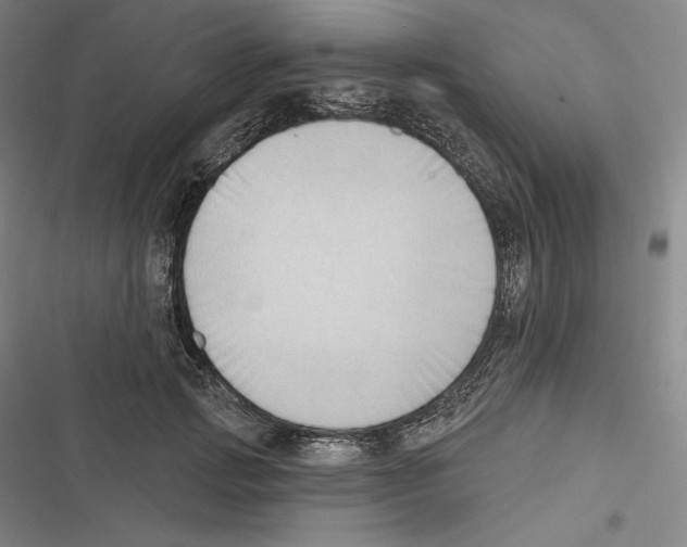 X0000116650749201001111229