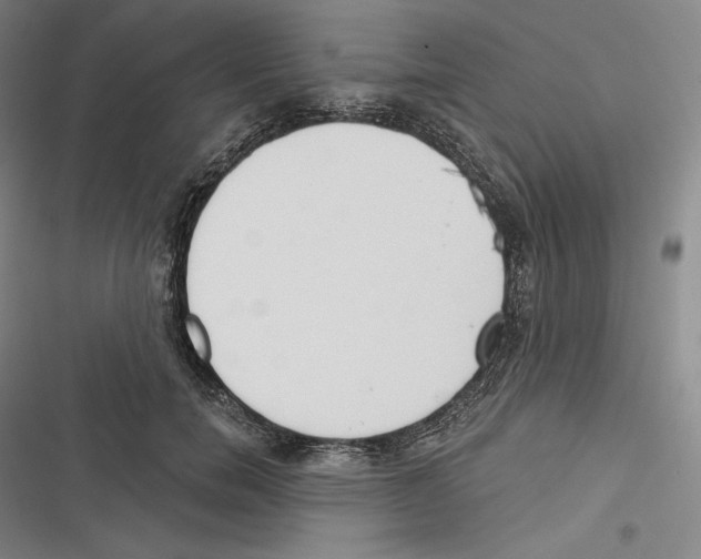 X0000116650750201001111229