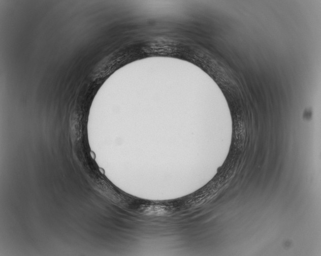 X0000116650751201001111229