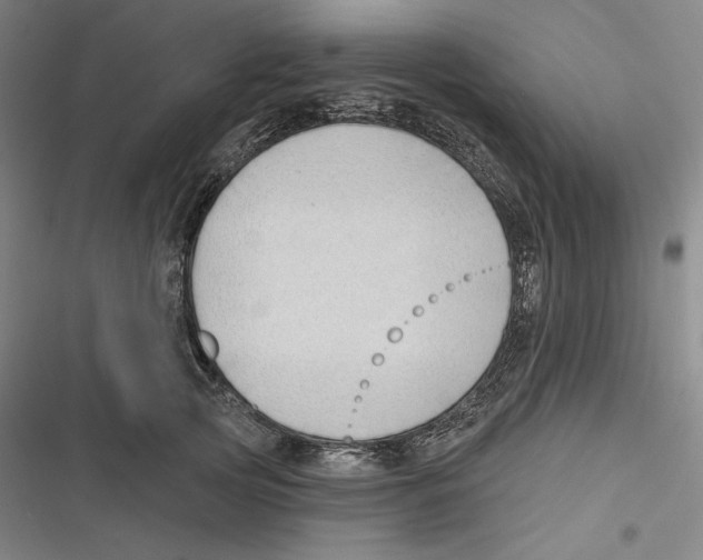 X0000116650753201001111229