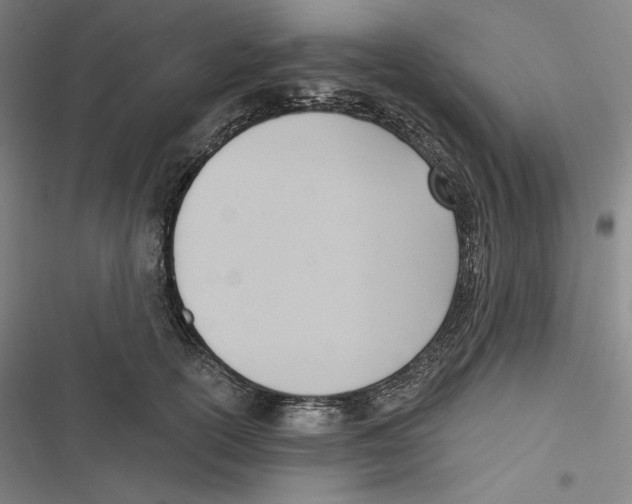 X0000116650754201001111229