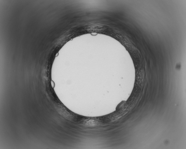 X0000116650755201001111229