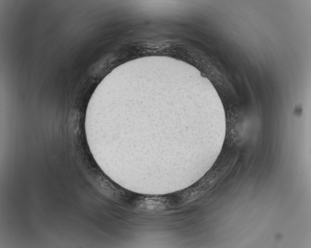 X0000116650758201001111229